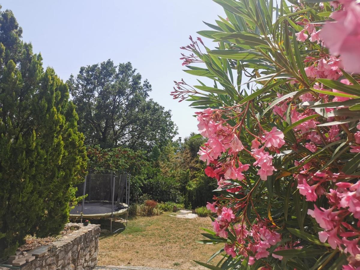 Guest House Casa Cassien Montauroux Exterior photo